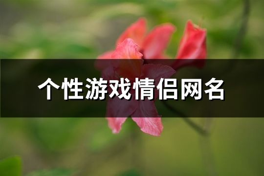 个性游戏情侣网名(共265个)