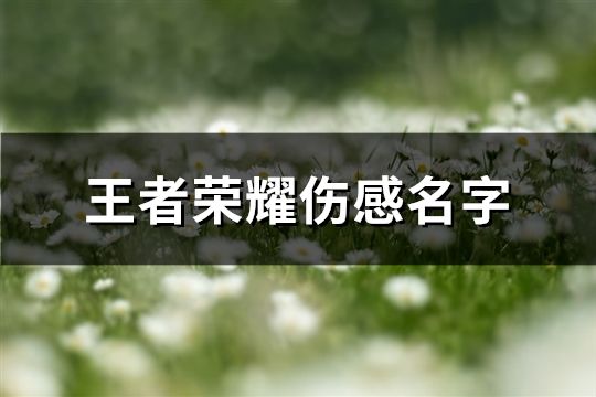 王者荣耀伤感名字(456个)