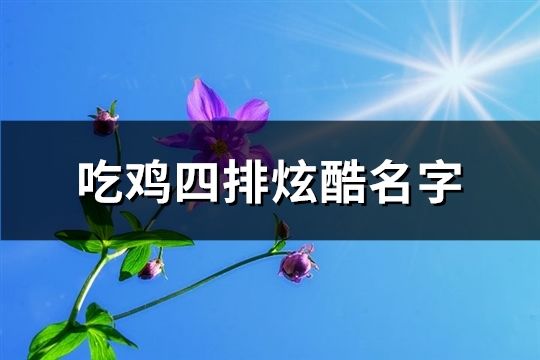 吃鸡四排炫酷名字(63个)