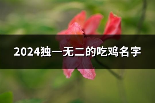 2024独一无二的吃鸡名字(精选556个)