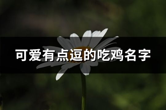 可爱有点逗的吃鸡名字(精选301个)