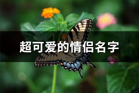 超可爱的情侣名字(482个)