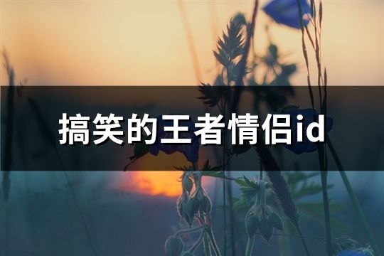 搞笑的王者情侣id(共121个)