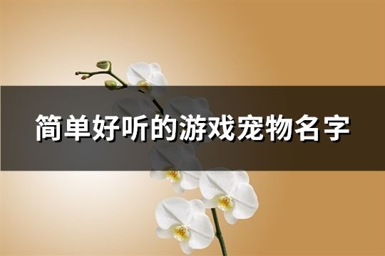 简单好听的游戏宠物名字(精选558个)