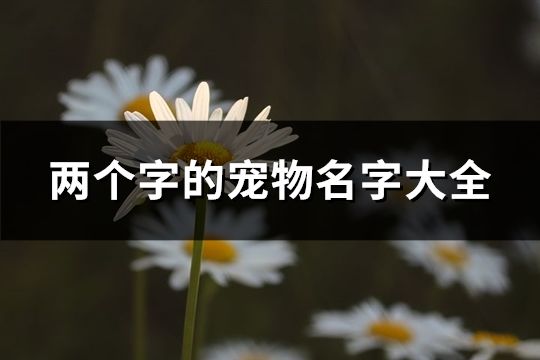 两个字的宠物名字大全(精选326个)