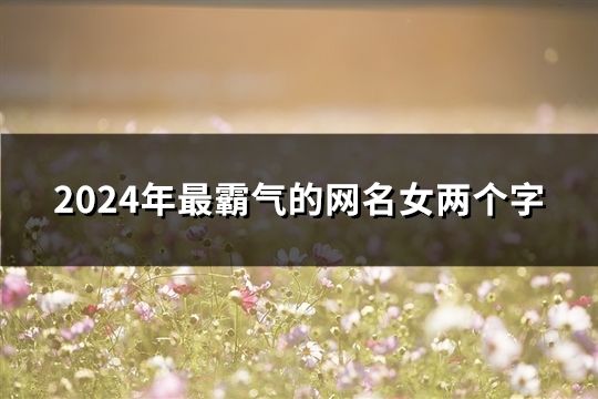 2024年最霸气的网名女两个字(159个)