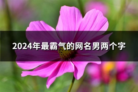 2024年最霸气的网名男两个字(97个)