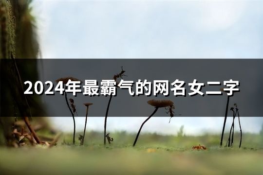 2024年最霸气的网名女二字(223个)