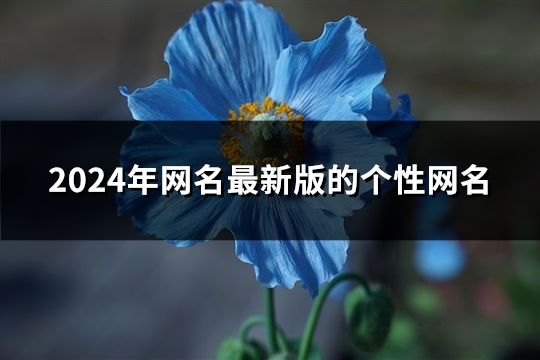 2024年网名最新版的个性网名(精选159个)