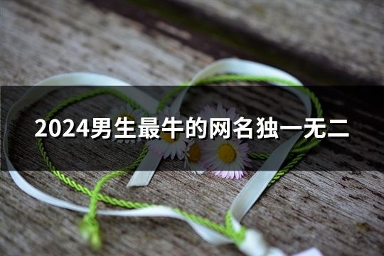 2024男生最牛的网名独一无二(精选276个)