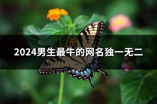 2024男生最牛的网名独一无二(70个)