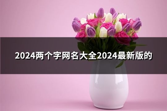 2024两个字网名大全2024最新版的(81个)