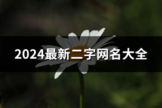 2024最新二字网名大全(共288个)