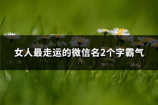 女人最走运的微信名2个字霸气(共244个)