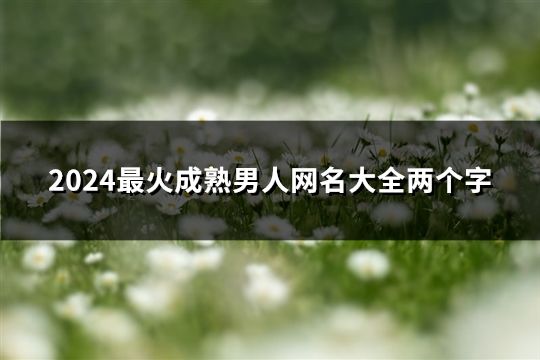 2024最火成熟男人网名大全两个字(精选210个)