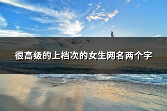 很高级的上档次的女生网名两个字(295个)