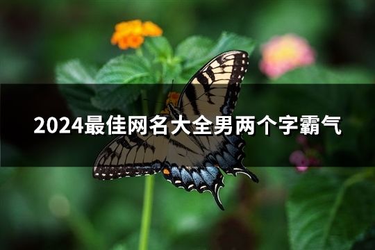 2024最佳网名大全男两个字霸气(共77个)