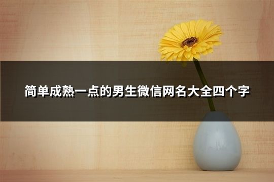 简单成熟一点的男生微信网名大全四个字(83个)