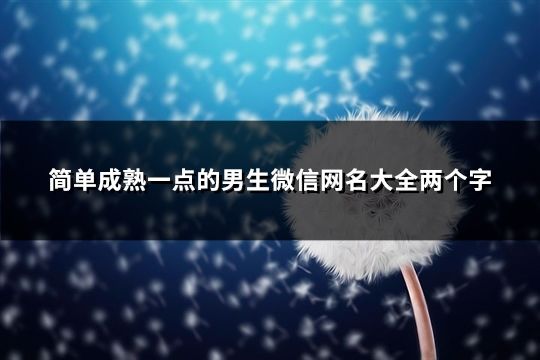 简单成熟一点的男生微信网名大全两个字(精选168个)