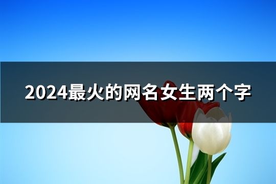 2024最火的网名女生两个字(128个)