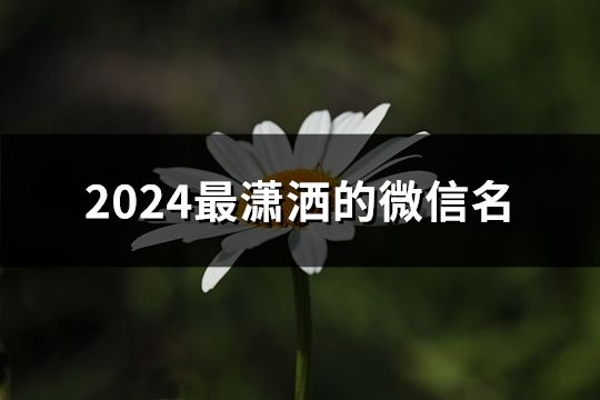 2024最潇洒的微信名(精选81个)