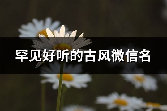 罕见好听的古风微信名(79个)