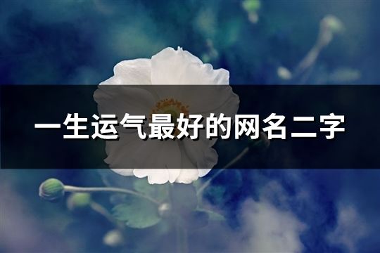 一生运气最好的网名二字(共107个)