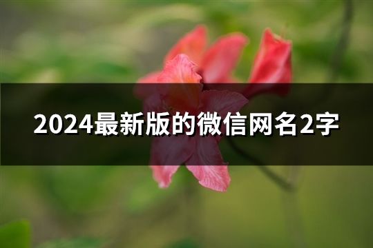 2024最新版的微信网名2字(共278个)