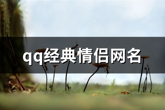 qq经典情侣网名(248个)