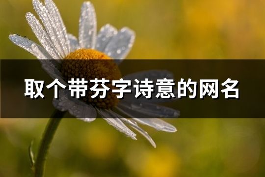 取个带芬字诗意的网名(88个)