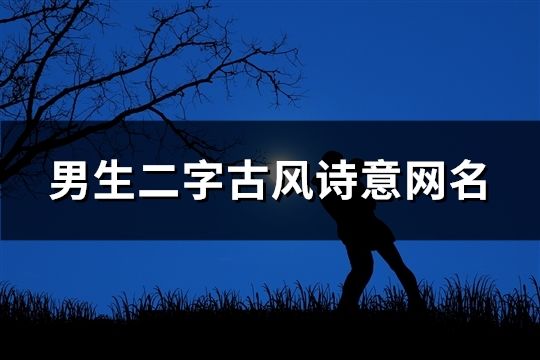 男生二字古风诗意网名(452个)