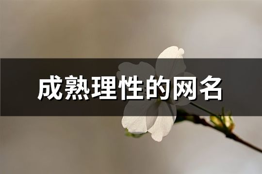 成熟理性的网名(共641个)