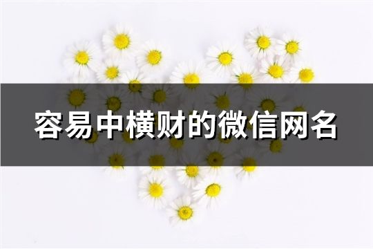 容易中横财的微信网名(1046个)