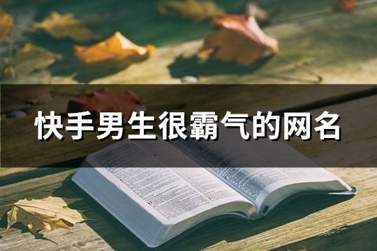 快手男生很霸气的网名(共682个)