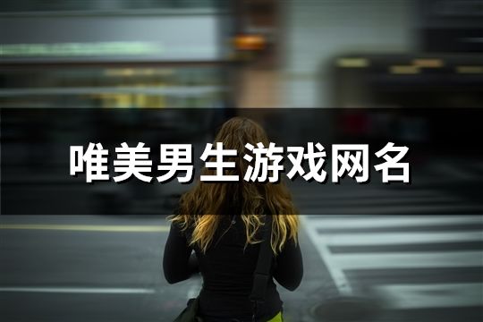 唯美男生游戏网名(精选445个)