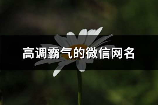 高调霸气的微信网名(共1272个)