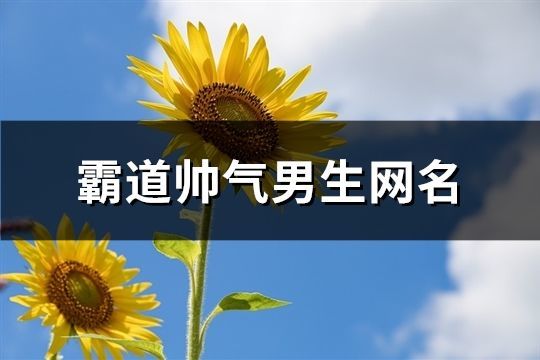 霸道帅气男生网名(932个)