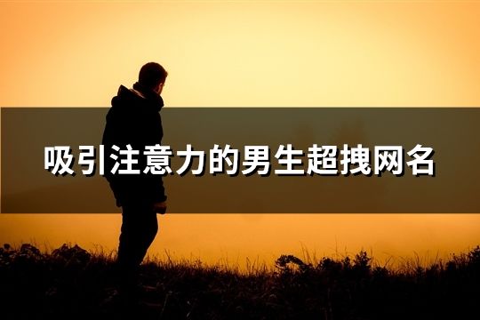 吸引注意力的男生超拽网名(233个)