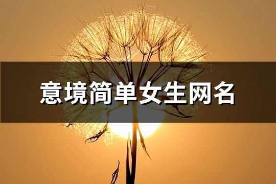 意境简单女生网名(共739个)