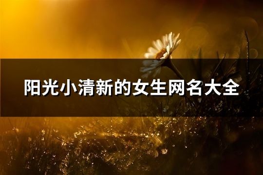 阳光小清新的女生网名大全(463个)