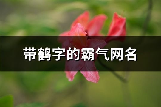 带鹤字的霸气网名(91个)