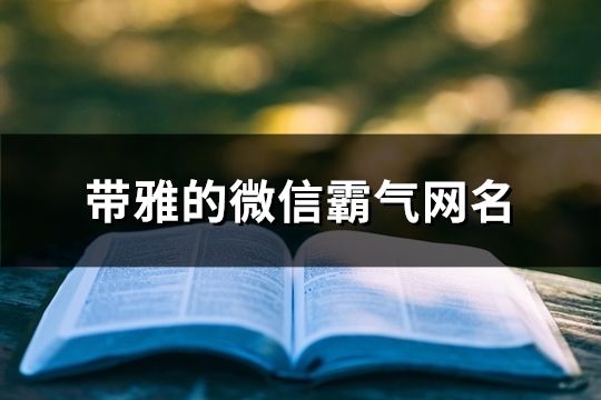 带雅的微信霸气网名(140个)