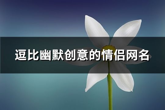 逗比幽默创意的情侣网名(共344个)