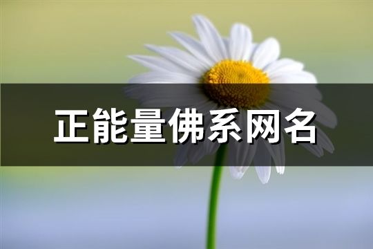 正能量佛系网名(共136个)