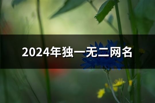 2024年独一无二网名(共1422个)