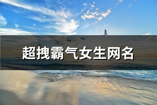 超拽霸气女生网名(精选134个)