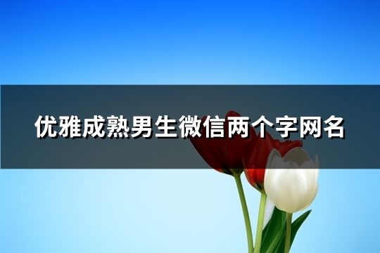 优雅成熟男生微信两个字网名(精选1099个)