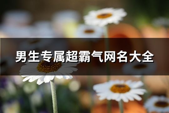 男生专属超霸气网名大全(共937个)