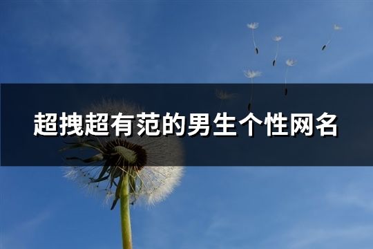 超拽超有范的男生个性网名(精选547个)