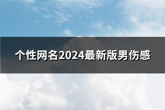 个性网名2024最新版男伤感(精选124个)